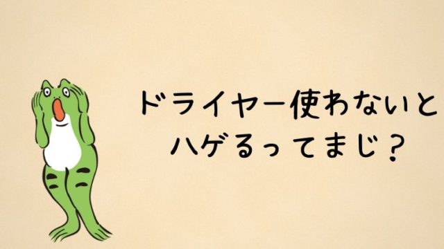 自然乾燥はハゲる 男もドライヤーで髪を乾かすべき3つの理由 かえるのしっぽ