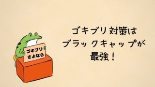 ブラックキャップが最強すぎた件 1年間使ったので効果と口コミをまとめました かえるのしっぽ